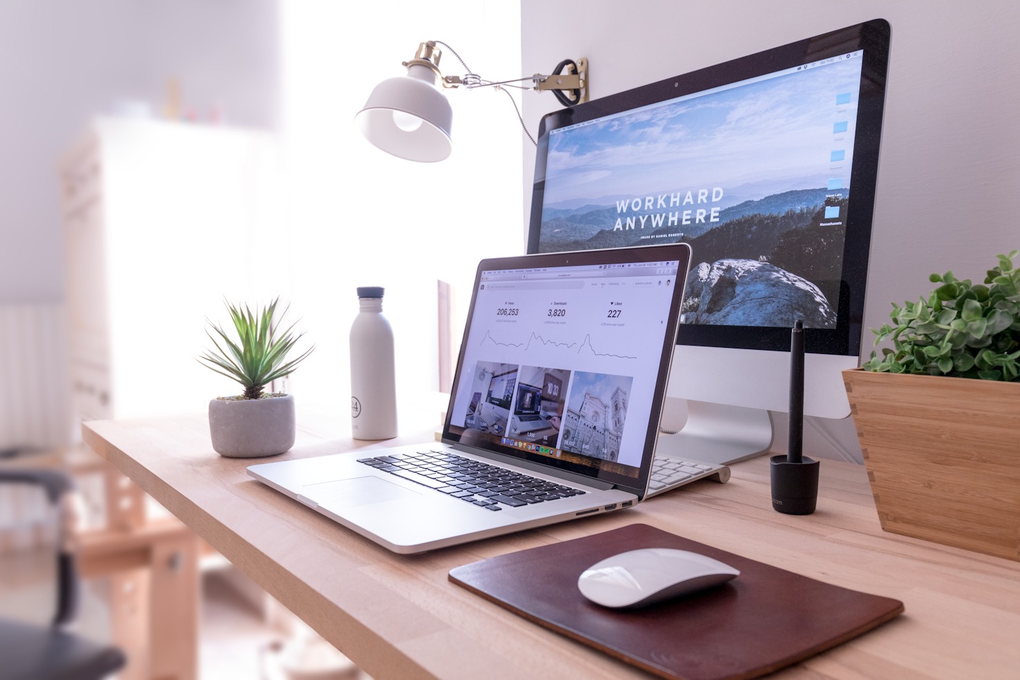 Why Every Creative Needs a Portfolio